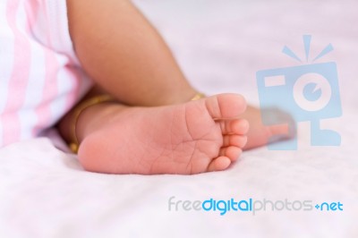 Newborn Baby Feet On White Background Stock Photo