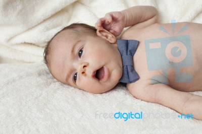 Newborn With Bow Stock Photo