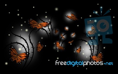 Night Of Butterflies Background Stock Image