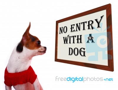 No Entry With A Dog Sign Stock Photo