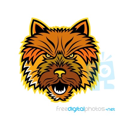 Norwich Terrier Mascot Front Stock Image