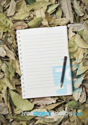 Notebook With Autumn Leaves Stock Photo