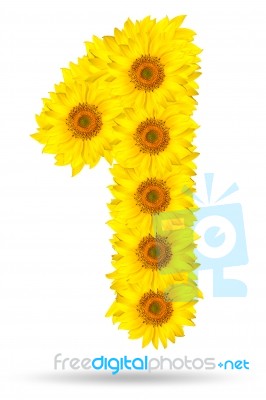 Number 1 Made Of Sunflower Stock Photo