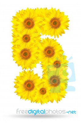 Number 5 Made Of Sunflower Stock Photo