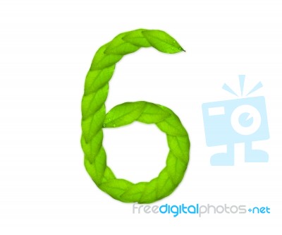 Number Six Made Of Leaves Stock Photo
