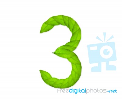 Number Three Made Of Leaves Stock Photo