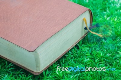 Old Book On The Grass Stock Photo