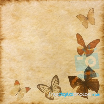 Old Paper With Butterflies Stock Photo