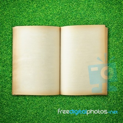 Opened Old Book On Green Grass Stock Photo