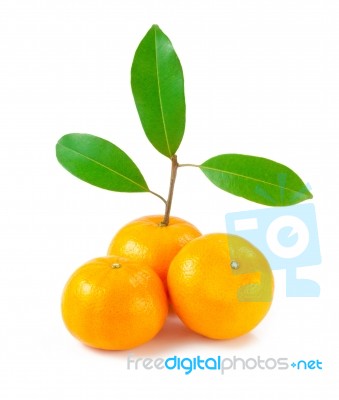 Orange Isolated Stock Photo