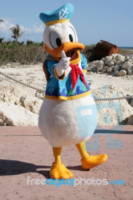 Orlando, Fl- Feb 5:  Donald Duck Dressed As A Captain Walking Ar… Stock Photo