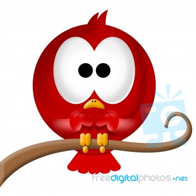 Owl Stock Image