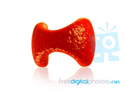 Parathyroid Gland Stock Image