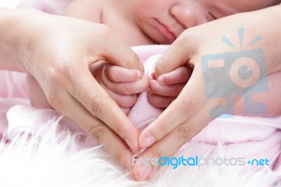 Parent Cover Their Baby Hand Stock Photo