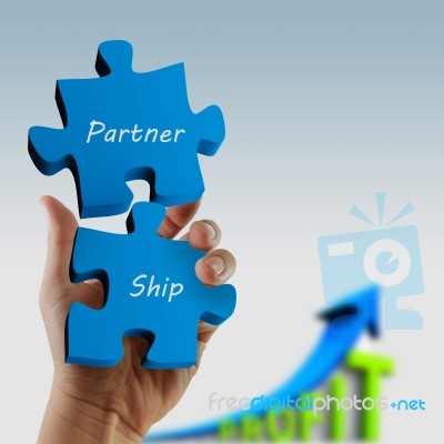 Partnership Puzzle Pieces In Hand Stock Image