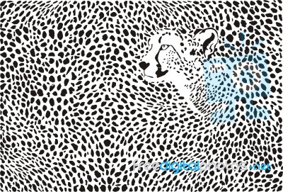 Pattern Cheetah Background Stock Image