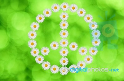 Peace  And Love Stock Photo