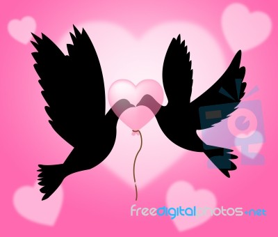 Peace Doves Shows Flock Of Birds And Freedom Stock Image