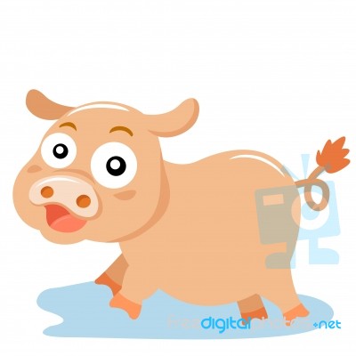 Pig Stock Image