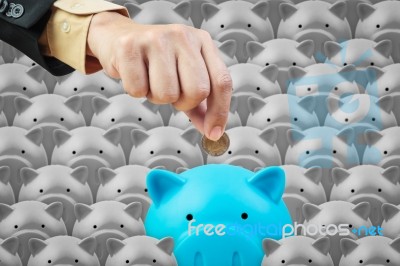 Piggy Bank And Business Hand, Saving Finance Concept Stock Photo