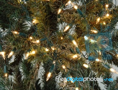 Pine Tree Lights Stock Photo