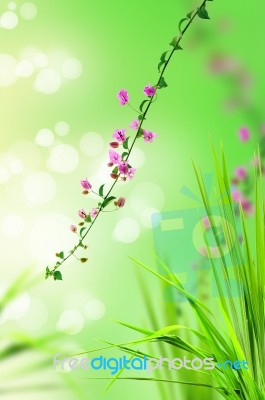 Pink Floral And Fresh Grass Stock Photo