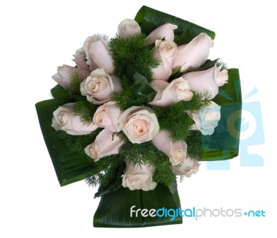 Pink Roses Bouquet Stock Photo
