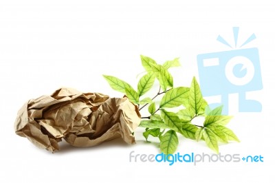Plant With Recycled Paper Stock Photo