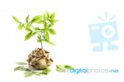 Plant With Recycled Paper Stock Photo