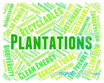 Plantations Word Means Agriculture Ranch And Text Stock Image