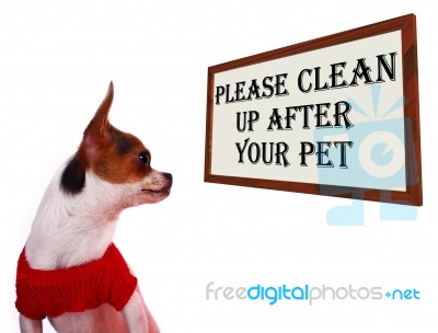 Please Clean Up After Your Pet Sign Stock Photo