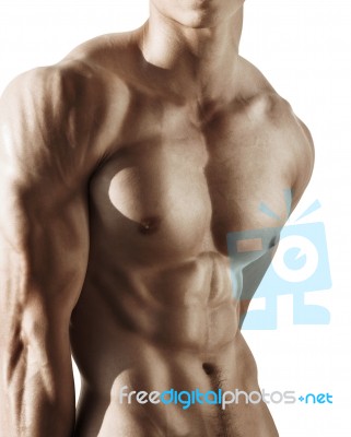 Portrait Muscular Male Torso Stock Photo