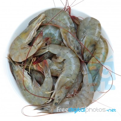 Prawns, Shrimps Stock Photo