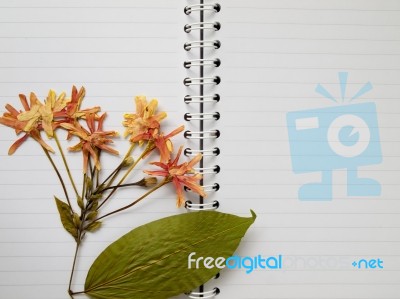 Pressed Flower On Note Book Stock Photo