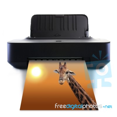 Printer And Giraffe Stock Photo