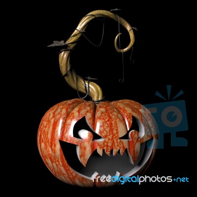 Pumpkin In A Black Background Stock Image