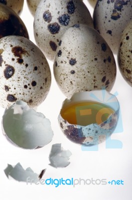 Quails Eggs Stock Photo