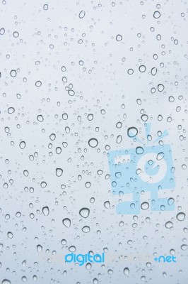 Rain Drop Stock Photo