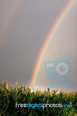 Rainbow Stock Photo