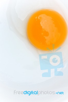 Raw Egg Stock Photo