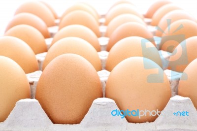 Raw Eggs Contained Carton Box Focus Near On White Background Stock Photo