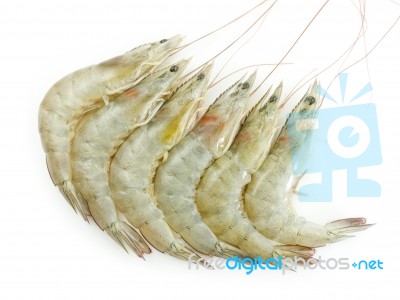 Raw Shrimps Stock Photo