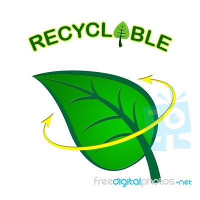 Recyclable Leaf Indicates Earth Friendly And Eco Stock Image