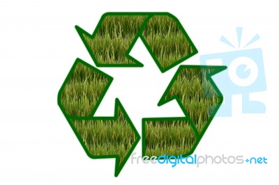 Recycle Sign Contain Green Field On White Background Stock Photo