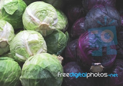Red And White Cabbages Stock Photo