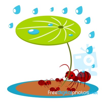 Red Ants Protect Illustration Stock Image