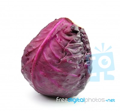 Red Cabbage On White Background Stock Photo
