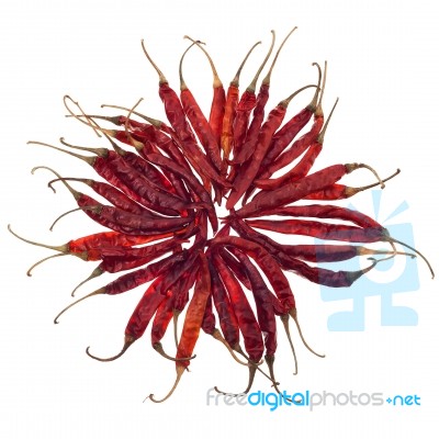 Red Chili Pepper Isolated Stock Photo