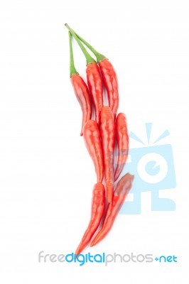 Red Chillies Stock Photo