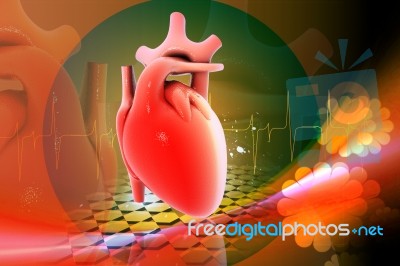 red Human Heart Stock Image